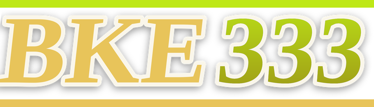 bke333